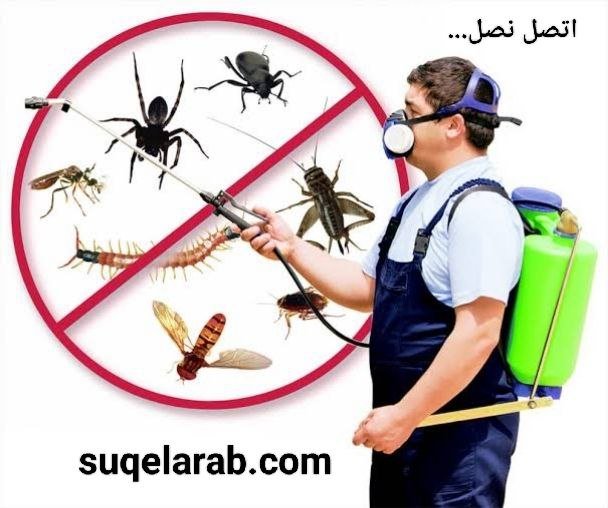 شركة مكافحة حشرات بجدة